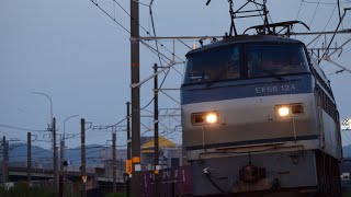 【終焉の道を歩むEF66】EF66-124牽引2079レ