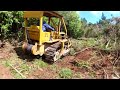 Vintage Cat D4 Clearing Gorse on a Steep Hillside -Testing the new Clutch