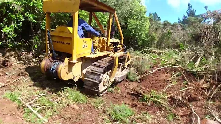 Vintage Cat D4 Clearing Gorse on a Steep Hillside -Testing the new Clutch