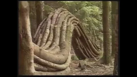 Andy Goldsworthy Naturalist Artist - P1