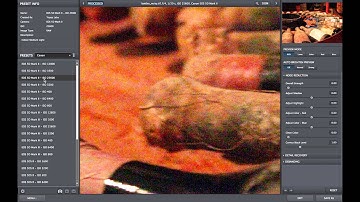 DeNoise 6 - Batch Processing