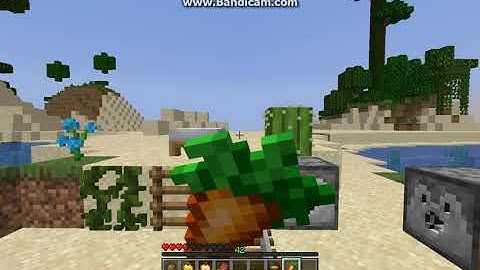 Anti 1.8 Aktion 1.14.4 Fabric Mod Overview (A hunger bar removal mod)