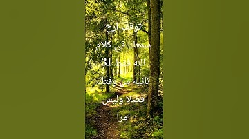#القرآن_الكريم #تلاوة_خاشعة #quran #اكسبلور #دويتو #حالات_واتس #مشاركة #لايك #محمد_اللحيدان #duet