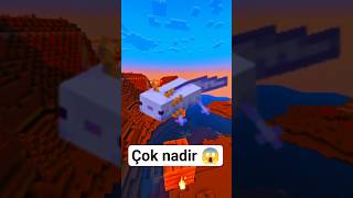 Minecraftın En Nadir Canlısı