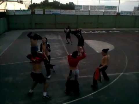 The harlem shake - basketball