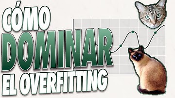 Cómo EVITAR el OVERFITTING! (en ESPAÑOL) ✅