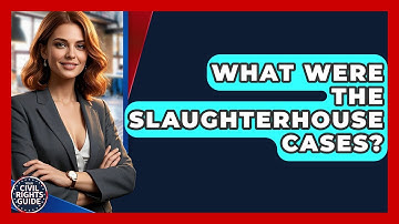 What Were The Slaughterhouse Cases? - Your Civil Rights Guide