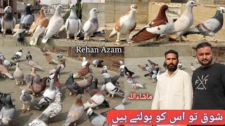 Sohail Ustad K 110 Desi Kabutar | Saaz To Ise Khete He | ?? Pakistani Pigeon Collection | ?