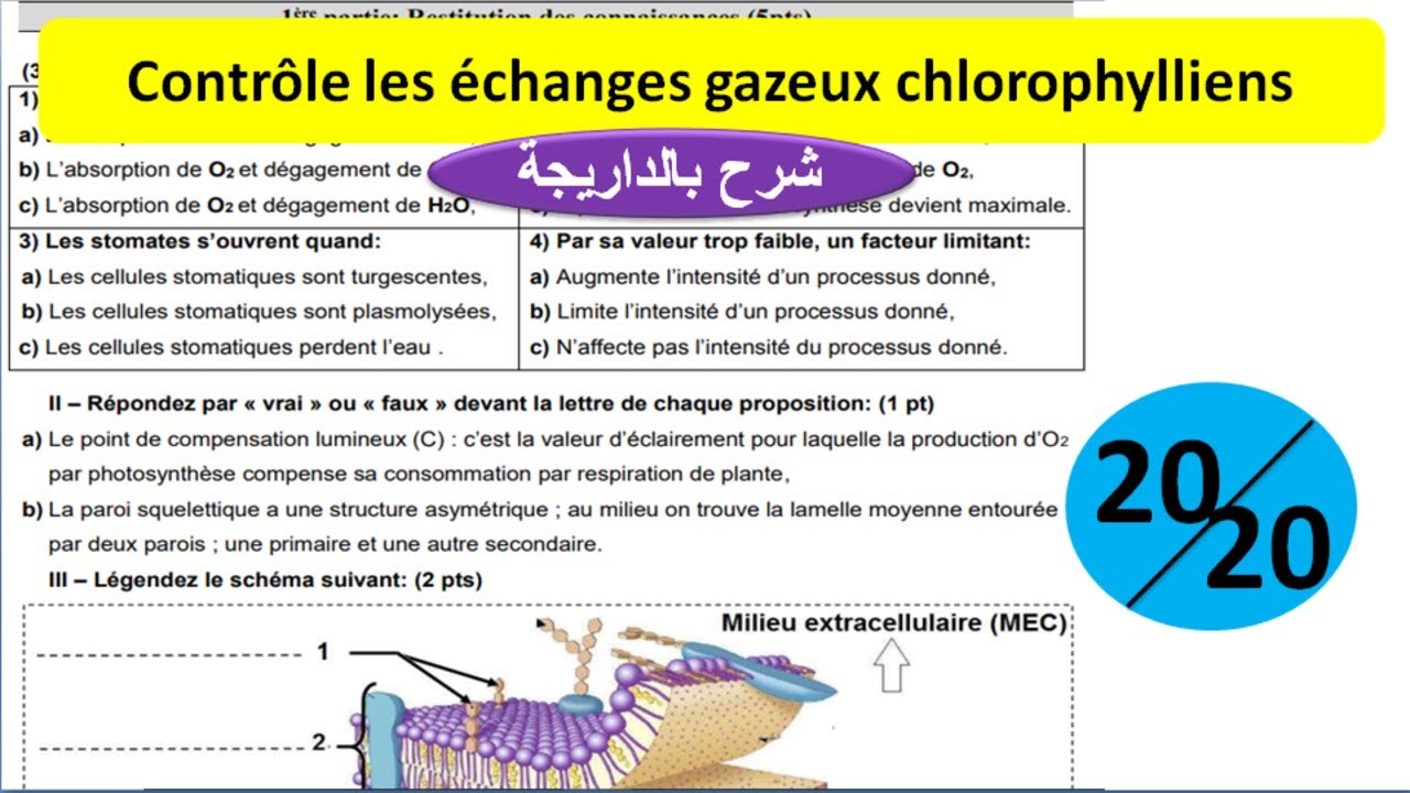 Contrôle les échanges gazeux chlorophylliens (تصحيح بالداريجة)