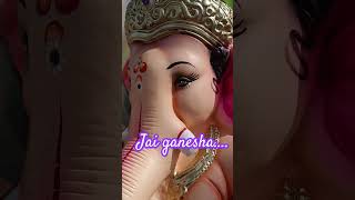 Jai Ganesh Maharaj ki jai||ganeshchaturthi shortvideo viral respect ytshorts funny