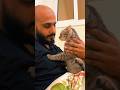 احاول اقنها سحابه Cat قطط For سحابه
