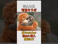 なんの目的が!?米YouTuberが猿山に侵入