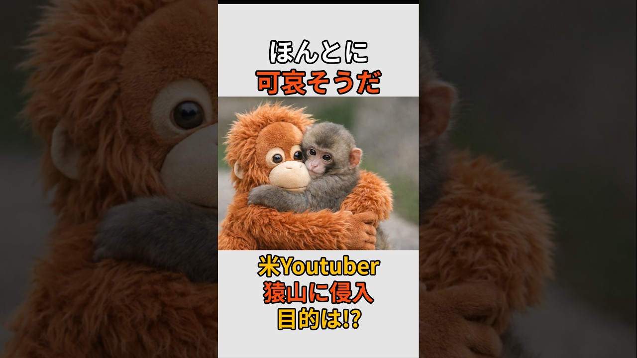 なんの目的が!?米YouTuberが猿山に侵入