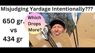 Celebrity 650 vs 434 grain 40 Yard Trajectory Test Profile