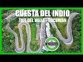 Cuesta del Indio Tafi del Valle TUCUMAN