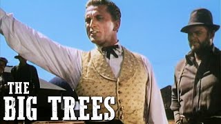 The Big Trees