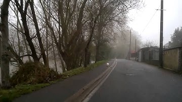 [LDP - PUMPING] Subsonic Century Fog