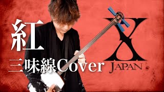 三味線 本体 白/赤 三絃司きくおか 小じゃみ三線 赤富士 サンゲンシキクオカ 【島村