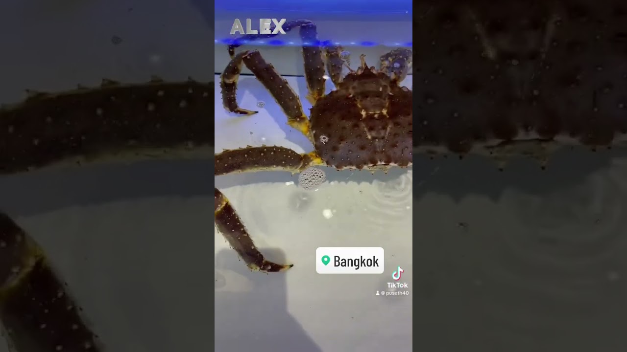 Bangkok logistics Trip 