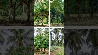 “Rain makes this soil weaker 😳🌧️”Why Laterite Soil is NOT Fertile? 😳🌱 | Laterite Soil #Shorts