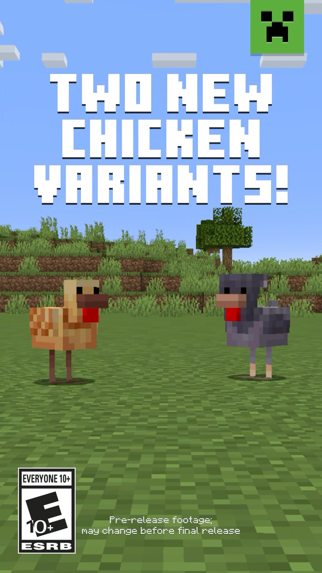 NEW CHICKEN VARIANTS IN MINECRAFT!