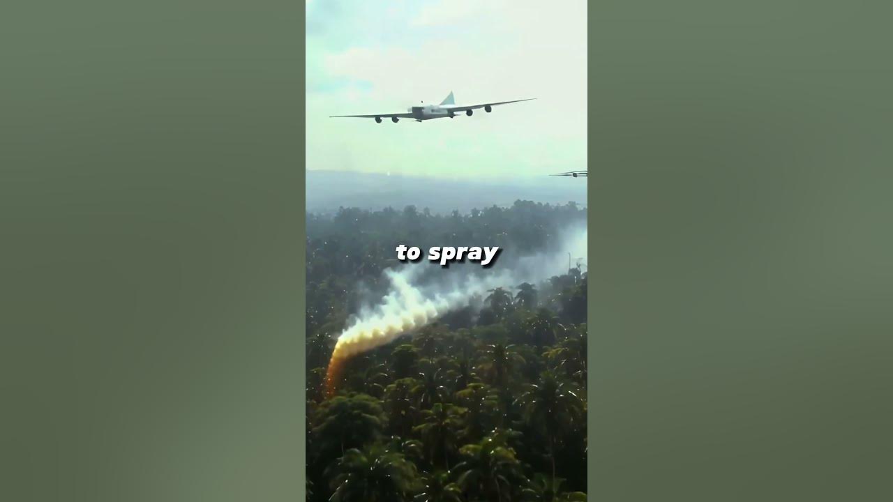 Agent Orange: The Deadly Operation That Changed Vietnam Agent Orange: The Deadly Operation That Changed Vietnam
