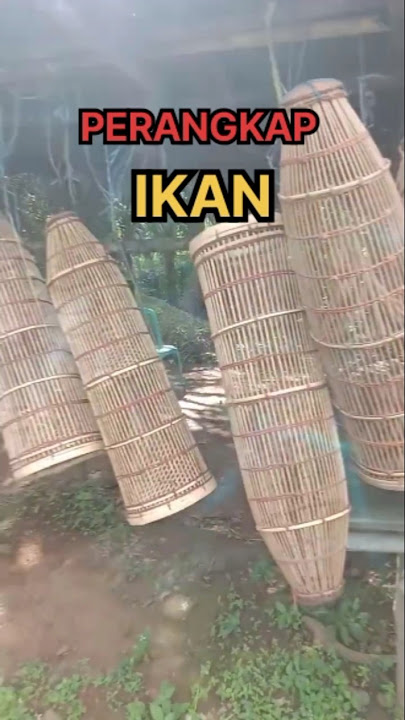 perangkap ikan... apa kamu bisa buat??? #informatif #faktaunik #shorts