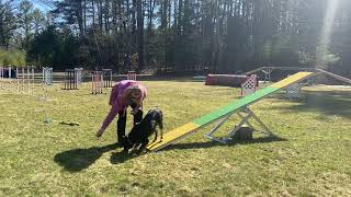 Quarantine Agility Training - Seesaw End Behavior - March