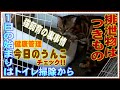 【今日のうんこ】観覧注意☆猫飼育の裏事情 1日の始まりはトイレ掃除から猫の健康管理チェック!!WILDCAT HOUSE ワイルドキャットハウス