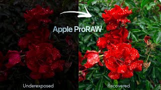 ProRAW Extreme Recovery Testing - Here’s what I found