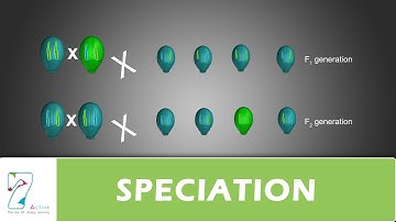 SPECIATION