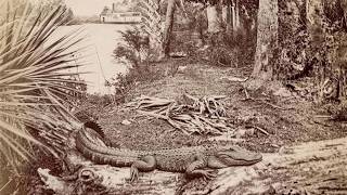 First Coast Connect: 'Public Defender Charlie Cofer; ‘Florida Before Flagler’' 09/28/2026