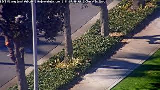 Mattercam 11262025 0416 - Live Disneyland Webcam From Howard Johnson Hotel Anaheim