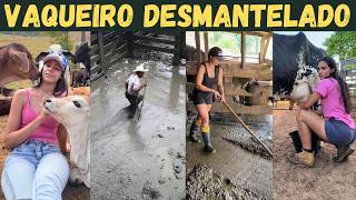 VIDA de VAQUEIRO: a pior profissão da roça? Veja a dureza e os perigos do curral.