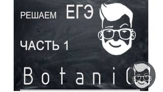 🎯ЕГЭ Математика 2017, Часть 1