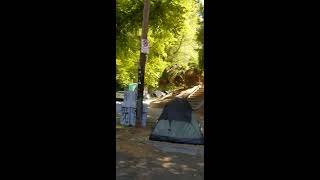 Laurelhurst park homeless takeover