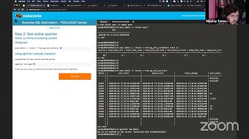 Seamless SQL optimization - Nikolay Samokhvalov: PGCon 2020