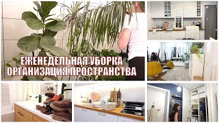 ЕЖЕНЕДЕЛЬНАЯ УБОРКА после РАБОТЫ/ОРГАНИЗАЦИЯ ВЕЩЕЙ в ДОМЕ/МОТИВАЦИЯ на СПОРТ/Комнатные растения