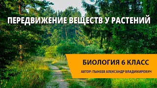 Передвижение веществ у растений