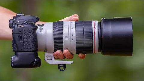 The BEST CANON 90D Wildlife Settings