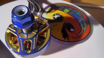 TWANS, what`s that? - Full Review  #TeamManiacs www.teammaniacs.com #iamseanthedon #thedonlives4ever