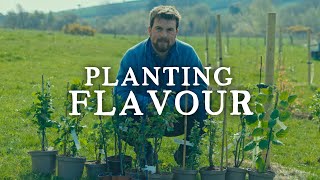 Spring Planting & Soft Fruit Collection | Huw's Garden Diaries screenshot 2