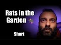 Rats in the Garden – Dirty Tenants! 🐀🏚️