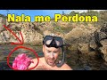 Grabo el CANTO de una SIRENA ¿REAL? 2020 Parte 116