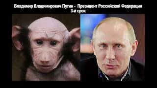 Приколы Лучшие политические приколы Приколы Лучшие политические приколы