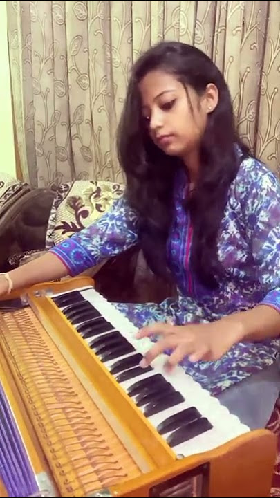 Dulhe ka sehra harmonium music cover
