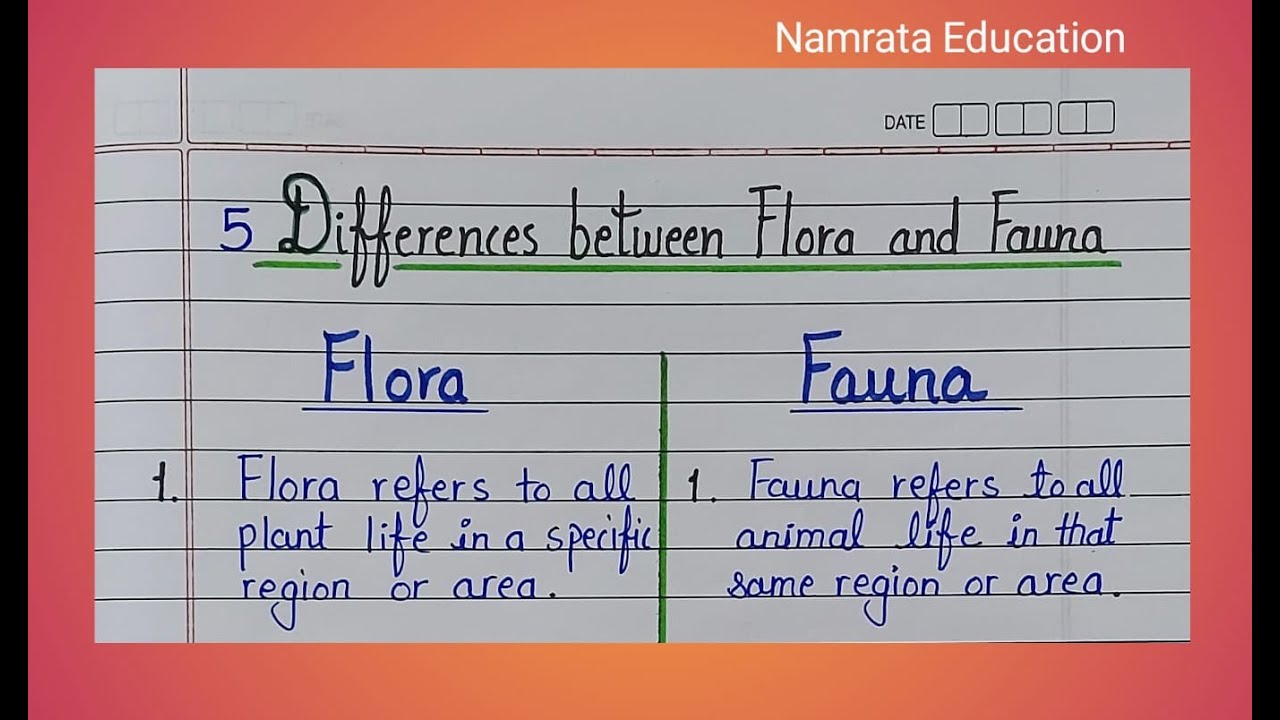 5 Differences between Flora and Fauna in English / Flora and Fauna difference writing