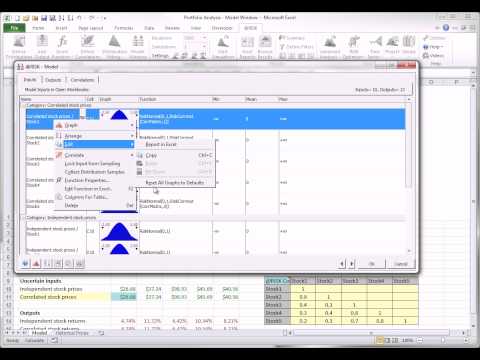 @RISK Guided Tour -  Basic Features - Model Window