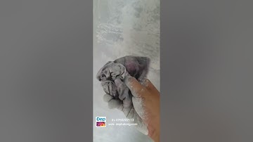 Cách sơn giả bê tông tuyệt đẹp và cảm xúc