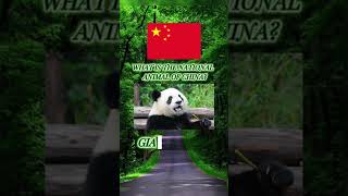 Guess the national animal #quiztime #history #facts #subscribe #like #interestingfacts #foryou